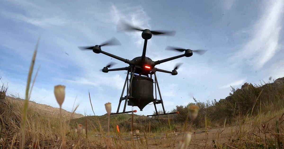 AirSeed: Drone planting takes flight to promote reforestation in flood ...